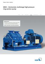 WKH � Horizontal, multistage high-pressure  ring-section pump
