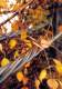 Accessories for Low Voltage Distribution Networks - ENSTO