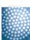 Bulk materials, Plants - Coperion