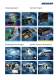 MENTOR Plastic / Metal Knobs � Mechanical Components - MENTOR