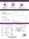 Dia‐Vac� Heated Head Pumps - Air Dimensions Incorpor.