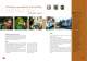 DISTRIBUTION TRANSFORMERS - CG Power Systems