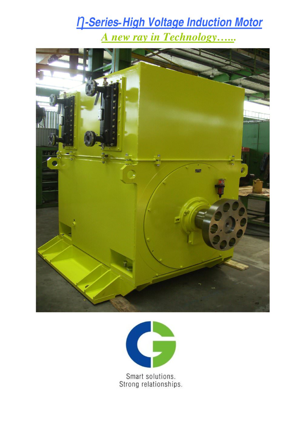 N-Series-High Voltage Induction Motor - CG Power Systems
