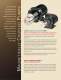 Magnetic-Drive Gear Pumps in 316SS & Plastic - Tuthill