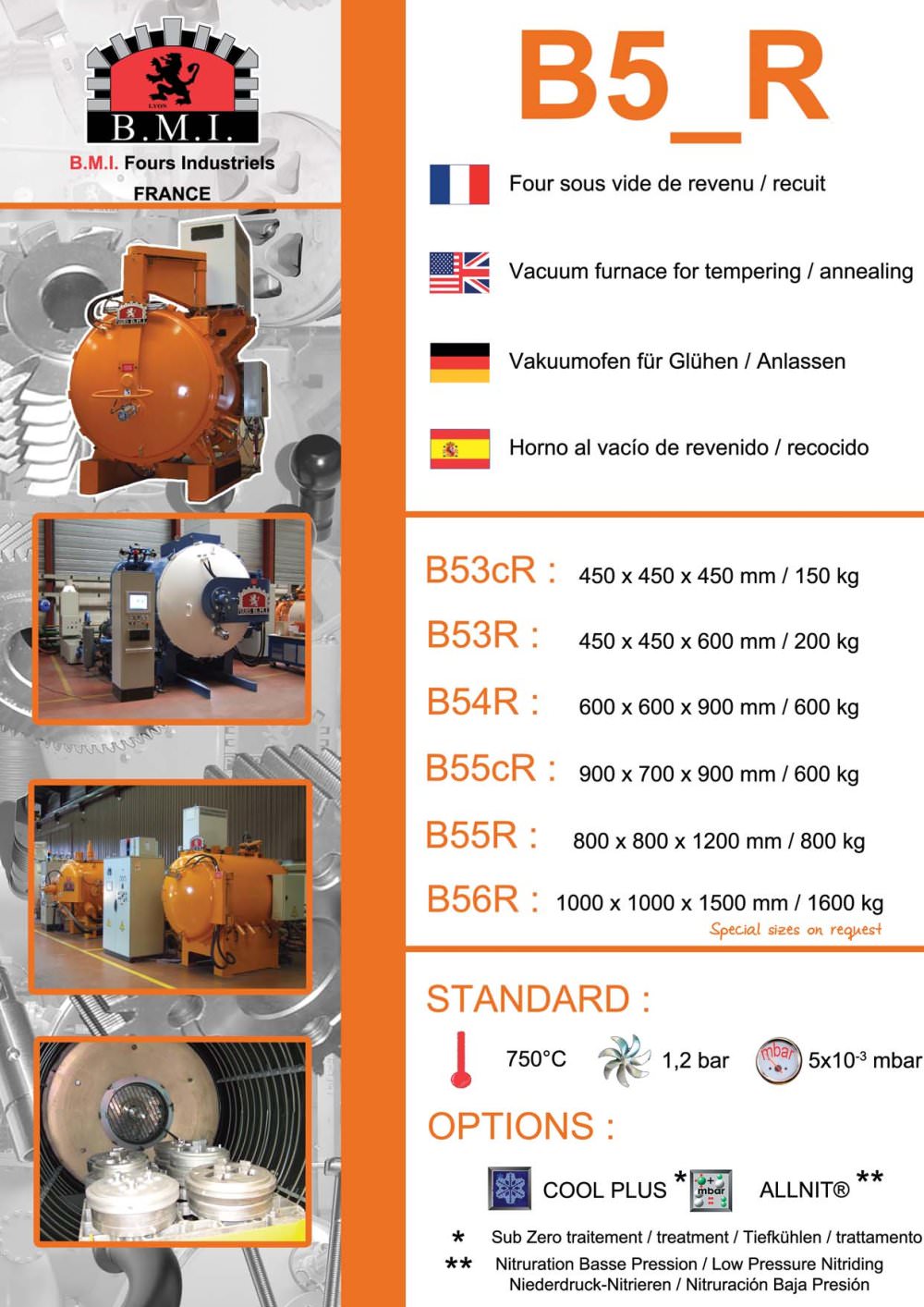 B5_R: vacuum furnace for tempering / annealing - B.M.I. Fours Industriels