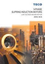 3 Phase slipring induction motors-AEEQ AEJS