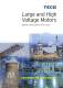 Large and High Voltage Motors - TECO Industrial Motors & Applications