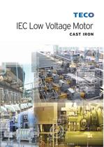 EC Low Voltage Motor