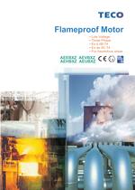 Flameproof Motor