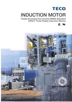 INDUCTION MOTOR