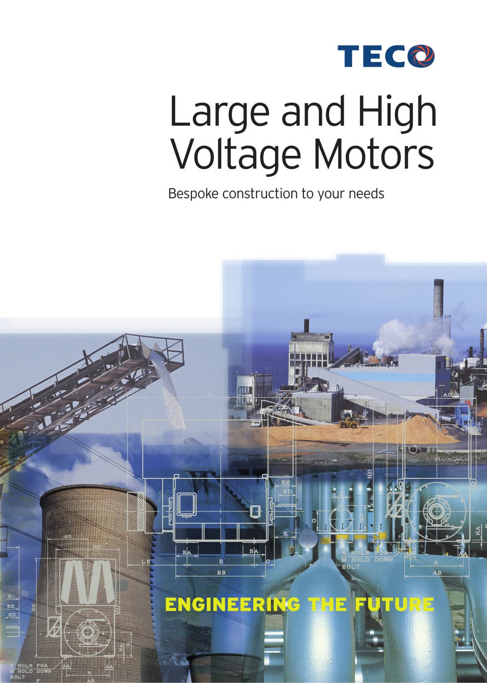 Large and High Voltage Motors - TECO Industrial Motors & Applications