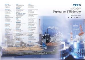 Premium Efficiency
