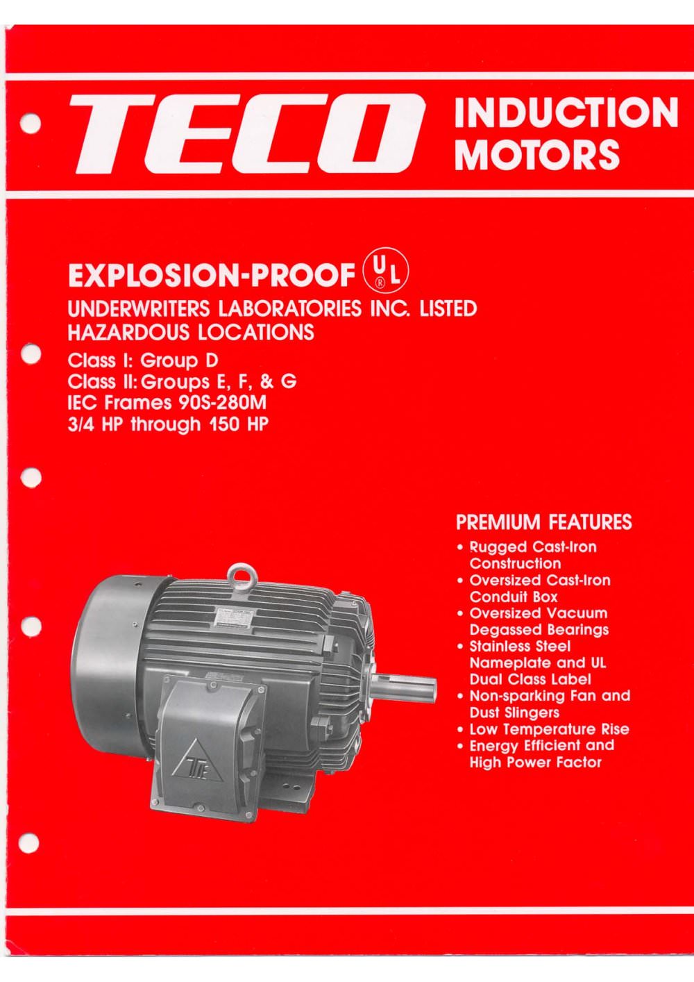 TECO Explosion-Proof Induction Motor-IEC Frame - TECO Industrial Motors & Applications