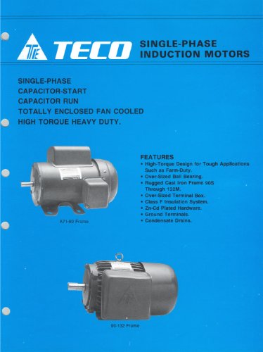 TECO Single-Phase Induction Motors