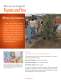 Corporate&nbsp;Brochure p 4
