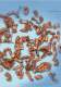 separation systems for waste processing and recycling industries - BAKKER MAGNETICS