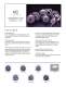 Electromagnetic Clutches and Brakes - OGURA