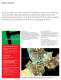 AutoCAD Map 3D - AUTODESK
