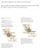 AutoCAD Inventor Suites - AUTODESK