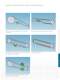 Chain and belt tensioning systems - Murtfeldt