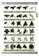 Standard Parts and Machine Accessories - WDS