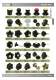 Standard Parts and Machine Accessories - WDS
