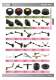 Standard Parts and Machine Accessories - WDS