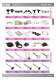 Standard Parts and Machine Accessories - WDS
