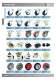 Standard Parts and Machine Accessories - WDS