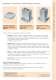 Workholding - WDS