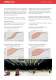 Product Catalogue - Aura Light International
