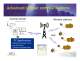 GaugerGSM - Highlights - Solid Applied Technologies Ltd.