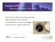 GaugerGSM - product highlights - Solid Applied Technologies Ltd.