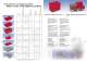 Storage- and Transport Containers and Pallets D/GB pt. 1 - WERIT