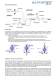 A-SERIE - ALMATEC