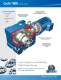 Cyclo� - Right Angle Speed Reducers and Gearmotors - SUMITOMO Drive Technologies America