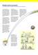 Bulk handling equipment and engineered systems - FLEXICON