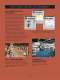 High Shear Mixers - Ross