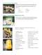 LMI Metering Pump Catalog 1883 - LMI Milton Roy