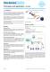 Flow controllers / Air flow controllers - EGE