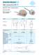 Inductive Sensors - EGE