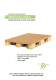 carton pallet