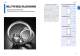 Needle Bearing Series - IKO Nippon Thompson Europe