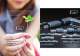 Linear Motion Guide Series - IKO Nippon Thompson Europe