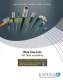 Ultra-Low Loss SHF Cable Assemblies - Radiall