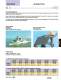Ultra-Low Loss SHF Cable Assemblies - Radiall