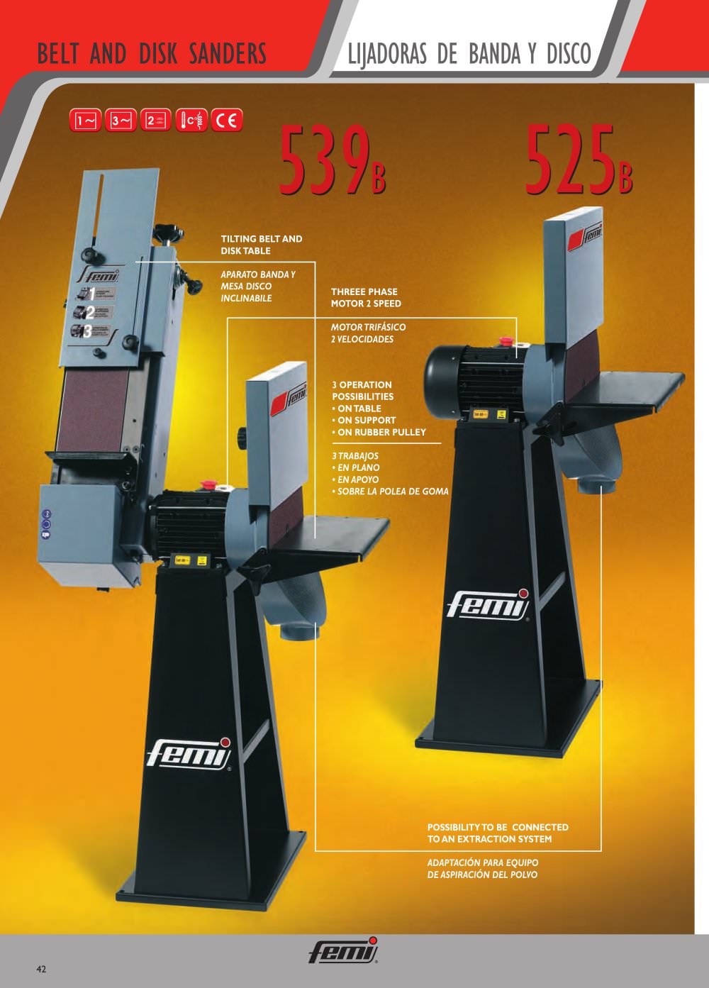 534B Grinding-polishing line Belt/disk sanders - FEMI
