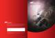 VT22 Vortex Turbine Grinder Brochure - Ingersoll Rand