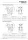 Series BS Worm Gear - Radicon