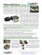 Alpha Servo Catalog - Sankyo America